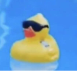 Ducky_Cartel