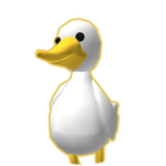quack