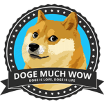 organisation doge