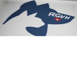 Training Center {RGVH}