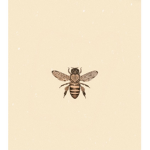 Bumblebees_