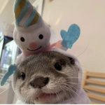 3937