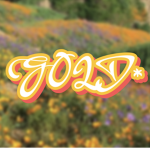 GOLD*