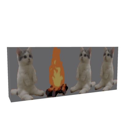 Animated Cat by Campfire