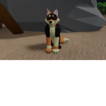 Fern’s Wolf Pack