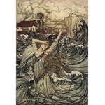 The Selkie Order