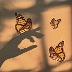 Blooming butterflies