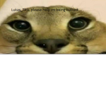 wowowowow ;)