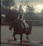 Snizzy's Equestrian Hangout!