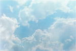 ~The Cloud~
