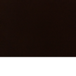 Kiwi_ncdnc_1