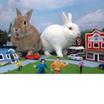 The Bunnys Family Household