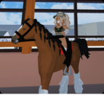 Only Roblox friends only