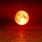 Blood_Moon_Clothing