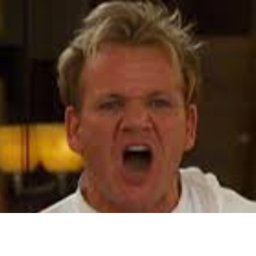 Survive the Gordon the Chef