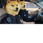 NYPD (New York Police Doges)