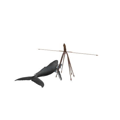 Realistic Fish PACK