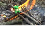 Team Burning Turtle