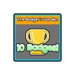 °10 BADGES°