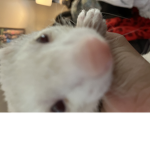 Hhhfhsifbenfvekxjvrvfb