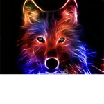 The Rainbow dog clan