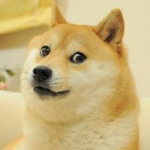 Doge Precision