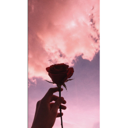 sᴛᴀʀs ᴀʙᴏᴜᴛ