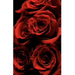 Girls rose army