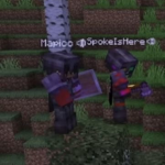 Little cat and cat