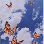 BUTTERFLIES...