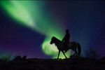 Northern Lights Horse Academy