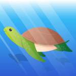 Team Turtle Life