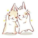 Bunny Lánd©