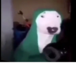 Kiskacsak_xd