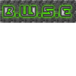 B.W.S.E