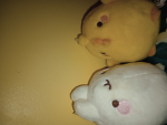 Molang studios