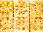 The saltine clan republic