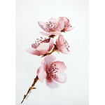 The blossom grouo