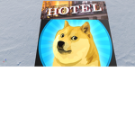 Hotel Doge