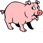 Piggy!!!!!