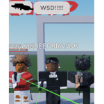 W.S.D