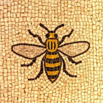 Manchester Police | Local Policing Unit