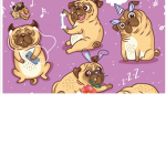 Bella loves pugs