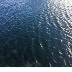 Water Oceans ;