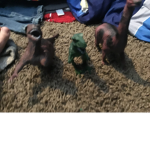 Robot Dinosaurs