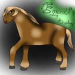 Emerald's Riding Academy