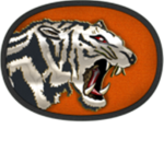 th Special Missions Group