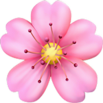 Flower Power! <3