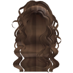  Beautiful Curly Half Up Half Down Waves in Brown