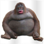 I man monkey